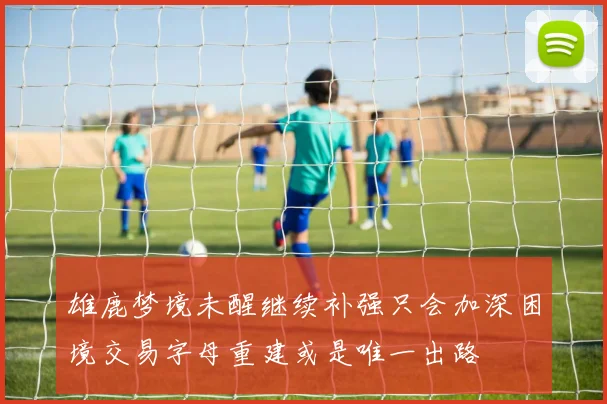 雄鹿梦境未醒继续补强只会加深困境交易字母重建或是唯一出路